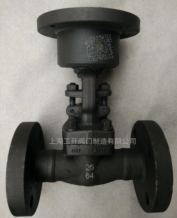 A105电动锻钢闸阀