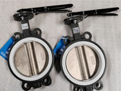 D71F4P-16C-DN150手动四氟蝶阀_耐腐